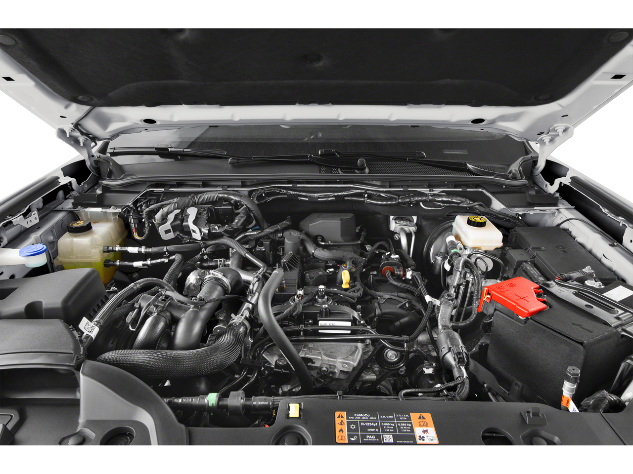 2026 Ford Ranger XL In-Transit