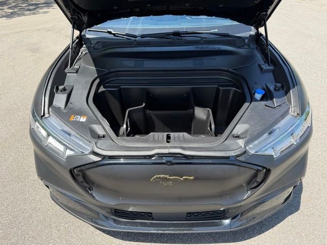 2021 Ford Mustang Mach-E Premium