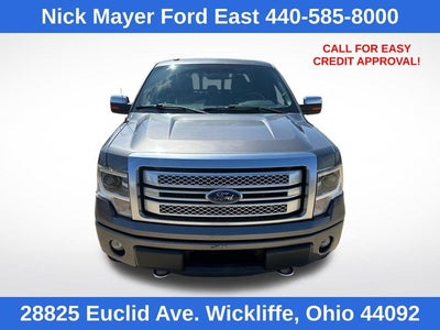 2013 Ford F-150 Platinum
