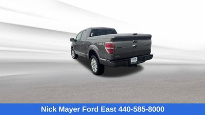 2013 Ford F-150 Platinum
